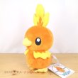 Photo4: Pokemon Center 2022 Torchic Plush doll (4)