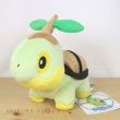 Photo4: Pokemon Center 2021 Turtwig Plush doll (4)