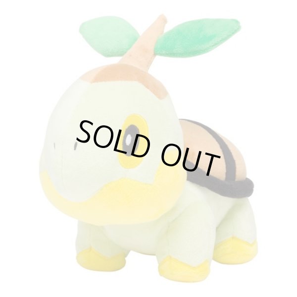Photo1: Pokemon Center 2021 Turtwig Plush doll (1)