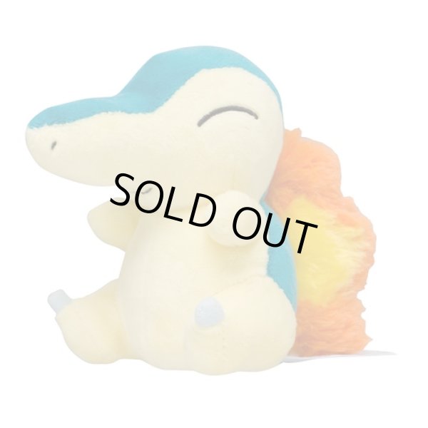 Photo1: Pokemon Center 2019 Pokemon fit Mini Plush #155 Cyndaquil doll Toy (1)