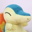 Photo5: Pokemon Center 2019 Pokemon fit Mini Plush #155 Cyndaquil doll Toy (5)