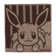 Photo1: Pokemon Center 2022 Hand towel Handkerchief Eevee (1)