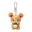 Photo1: Pokemon Center 2022 Mori No Okurimono Plush Mascot Key chain Teddiursa (1)