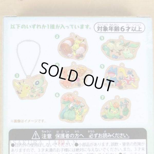 Photo4: Pokemon Center 2022 Mori No Okurimono Wooden Charm Key chain #3 Leafeon Chikorita (4)