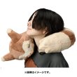 Photo5: Pokemon Center 2022 Mori No Okurimono Fluffy Plush Cushion Furret (5)