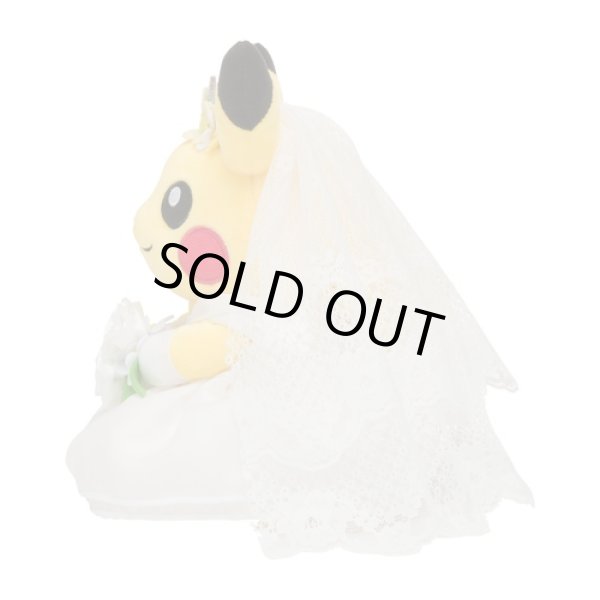 Photo6: Pokemon Center 2022 Pokemon Garden Wedding Boxed Pikachu Pair Plush doll (6)