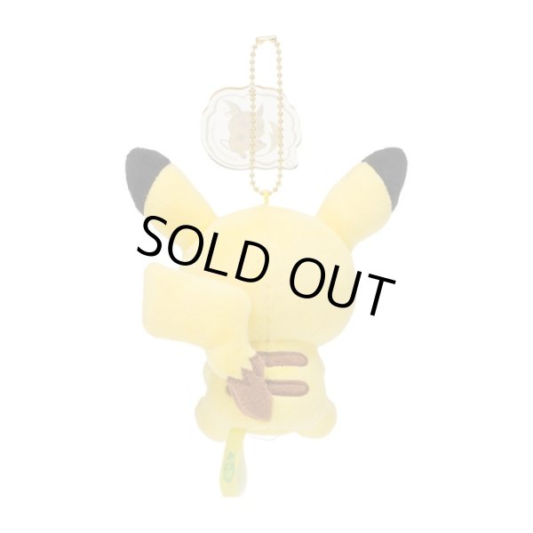 Photo3: Pokemon Center 2022 SHINKA NO ISHI Plush Mascot Key chain Pikachu (3)