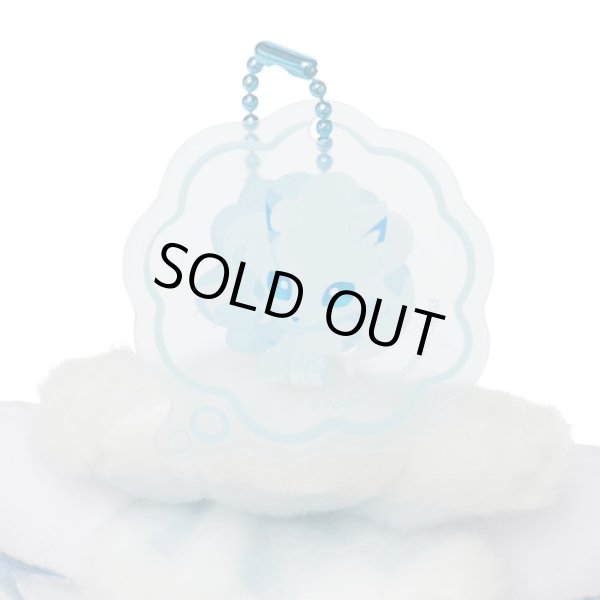 Photo4: Pokemon Center 2022 SHINKA NO ISHI Plush Mascot Key chain Alola Vulpix (4)