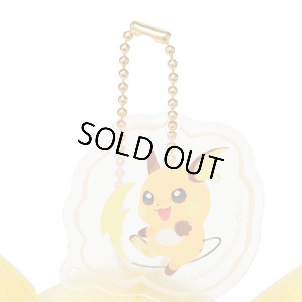 Photo4: Pokemon Center 2022 SHINKA NO ISHI Plush Mascot Key chain Pikachu (4)