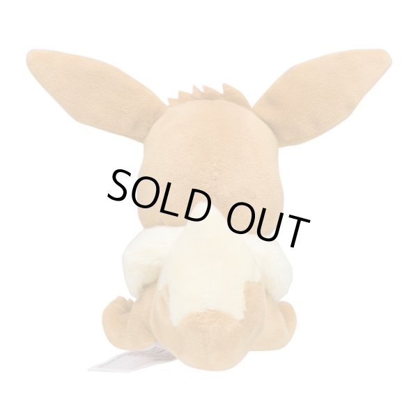 Photo3: Pokemon Center 2018 Pokemon fit Mini Plush #133 Eevee doll Toy (3)