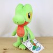 Photo4: Pokemon Center 2022 Treecko Plush doll (4)