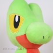 Photo5: Pokemon Center 2022 Treecko Plush doll (5)