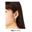 Photo5: Pokemon Center 2018 Pokemon accessory Series Pierced Earrings P18 (5)