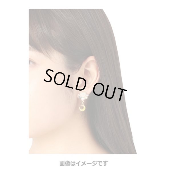 Photo5: Pokemon Center 2018 Pokemon accessory Series Pierced Earrings P18 (5)