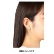 Photo4: Pokemon Center 2018 Pokemon accessory Series Pierced Earrings P18 (4)