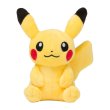 Photo4: Pokemon Center 2022 Plush with your Smartphone Pikachu (4)