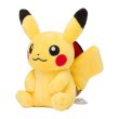 Photo3: Pokemon Center 2022 Plush with your Smartphone Pikachu (3)