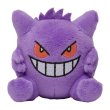 Photo3: Pokemon Center 2022 Plush with your Smartphone Gengar (3)