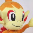 Photo5: Pokemon Center 2021 Chimchar Plush doll (5)