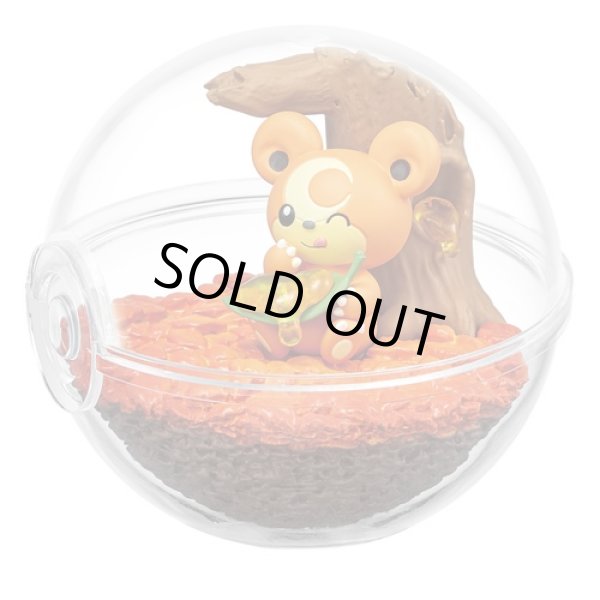 Photo1: Pokemon 2022 Terrarium Collection vol.11 #2 Teddiursa Mini Figure (1)