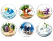 Photo1: Pokemon 2022 Terrarium Collection EX Galar edition vol.2 set of 6 Figure Complete set Mini Figure (1)