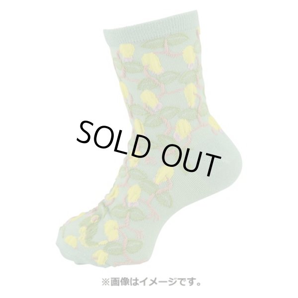 Photo3: Pokemon Center 2022 Socks for Women 23 - 25 cm 1 Pair Middle Rowlet (3)