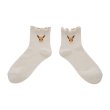 Photo1: Pokemon Center 2022 Socks for Women 23 - 25 cm 1 Pair Middle Eevee (1)