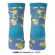 Photo3: Pokemon Center 2022 Socks for Women 23 - 25 cm 1 Pair Middle Cyndaquil (3)