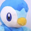 Photo5: Pokemon Center 2021 Piplup Plush doll (5)