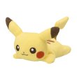 Photo1: Pokemon Center 2022 Washable Plush doll Pikachu (1)