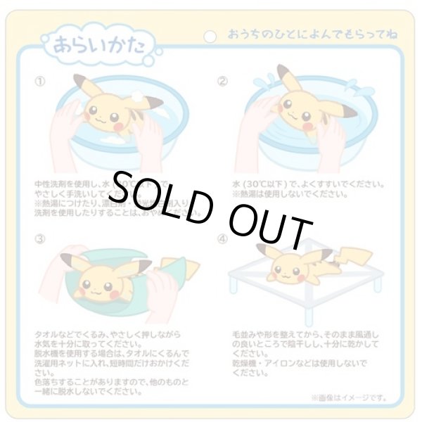 Photo4: Pokemon Center 2022 Washable Plush doll Pikachu (4)