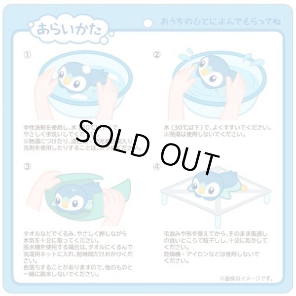 Photo4: Pokemon Center 2022 Washable Plush doll Piplup (4)