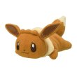 Photo1: Pokemon Center 2022 Washable Plush doll Eevee (1)