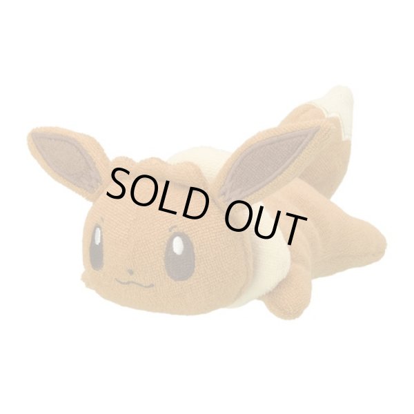 Photo1: Pokemon Center 2022 Washable Plush doll Eevee (1)