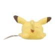 Photo3: Pokemon Center 2022 Washable Plush doll Pikachu (3)