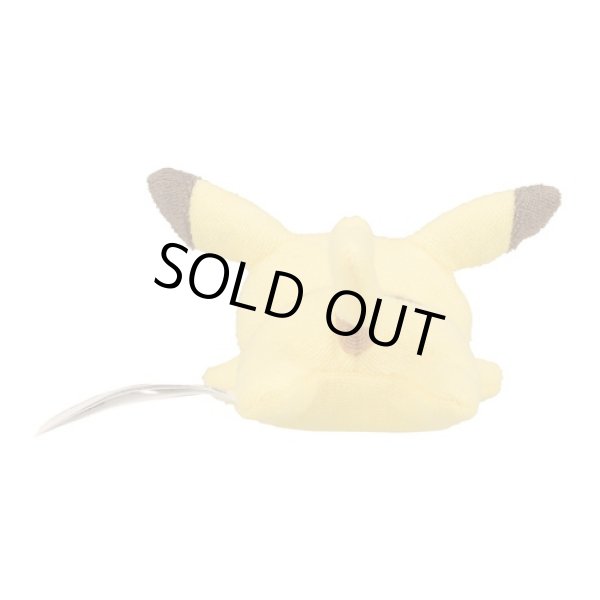 Photo3: Pokemon Center 2022 Washable Plush doll Pikachu (3)