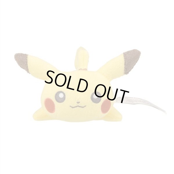 Photo2: Pokemon Center 2022 Washable Plush doll Pikachu (2)