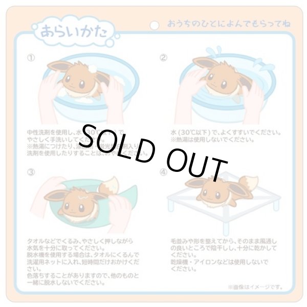 Photo4: Pokemon Center 2022 Washable Plush doll Eevee (4)