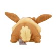 Photo3: Pokemon Center 2022 Washable Plush doll Eevee (3)