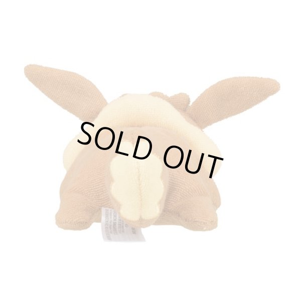 Photo3: Pokemon Center 2022 Washable Plush doll Eevee (3)