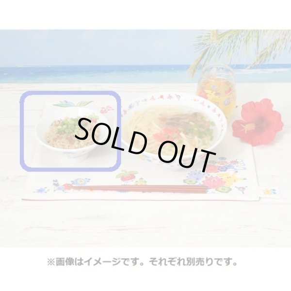 Photo5: Pokemon Center 2022 Okinawa Ceramic Rice Bowl (5)