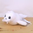 Photo4: Pokemon Center 2018 Pokemon fit Mini Plush #87 Dewgong doll Toy (4)