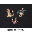 Photo3: Pokemon Center 2022 Fabric Sticker irodo Charmander & Charmeleon & Charizard (3)