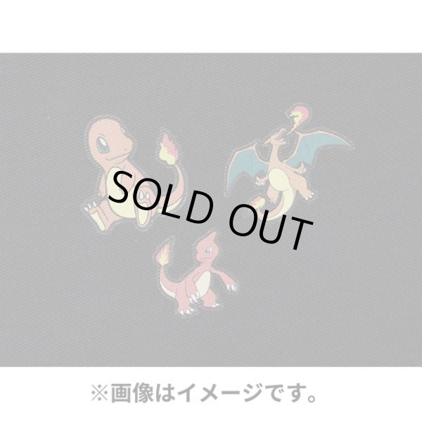 Photo3: Pokemon Center 2022 Fabric Sticker irodo Charmander & Charmeleon & Charizard (3)