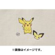 Photo3: Pokemon Center 2022 Fabric Sticker irodo Pichu & Pikachu & Raichu (3)