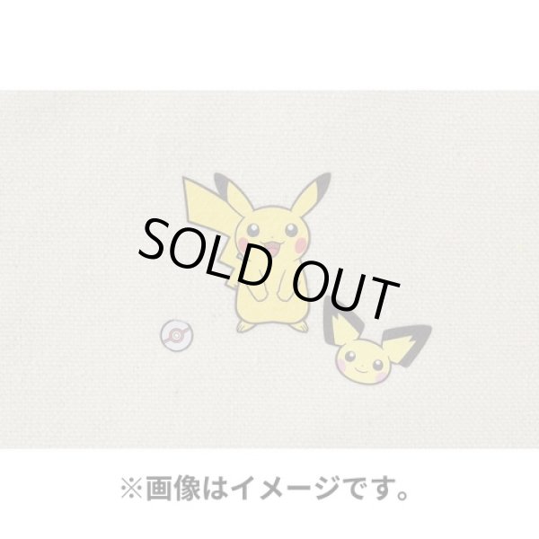 Photo3: Pokemon Center 2022 Fabric Sticker irodo Pichu & Pikachu & Raichu (3)