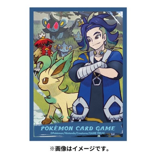 ポケモンカード コレクションファイル HISUI DAYS コレクションファイル HISUI DAYS ｜ポケカシングルカード通販