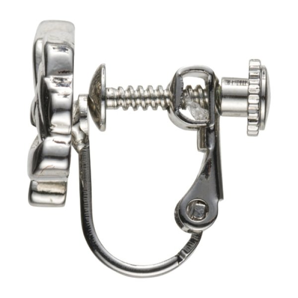 Photo2: Pokemon Center 2022 Pokemon accessory Series Clips Earrings E78 (2)