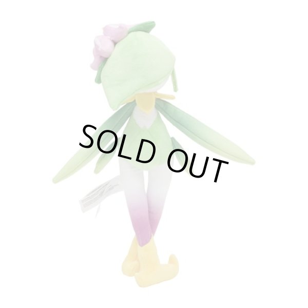 Photo3: Pokemon Center 2022 Hisui Region Plush doll Hisuian Lilligant (3)