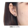 Photo4: Pokemon Center 2022 Pokemon accessory Series Pierced Earrings P86 (4)